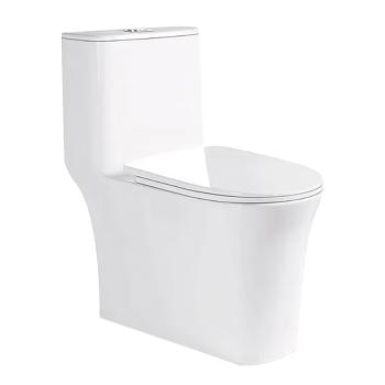 SANITARIO PUMARI ONE PIECE BLANCO